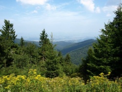 Beskid Sądecki